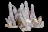 Cactus Quartz (Amethyst) Cluster - South Africa #78659-3
